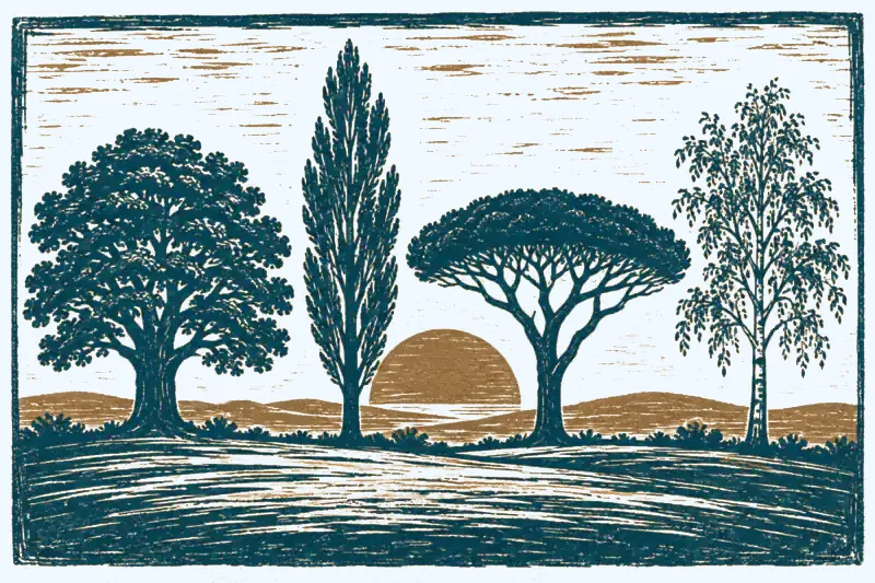 The 4 Human Design types: linocut of four trees with different growth forms