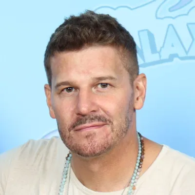 David Boreanaz