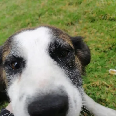 Pastora Maria Pavon Cruz