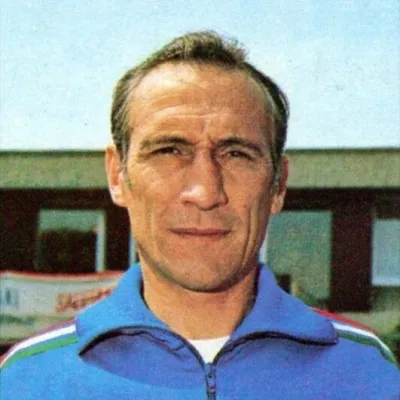 Vincenzo "Enzo" Bearzot
